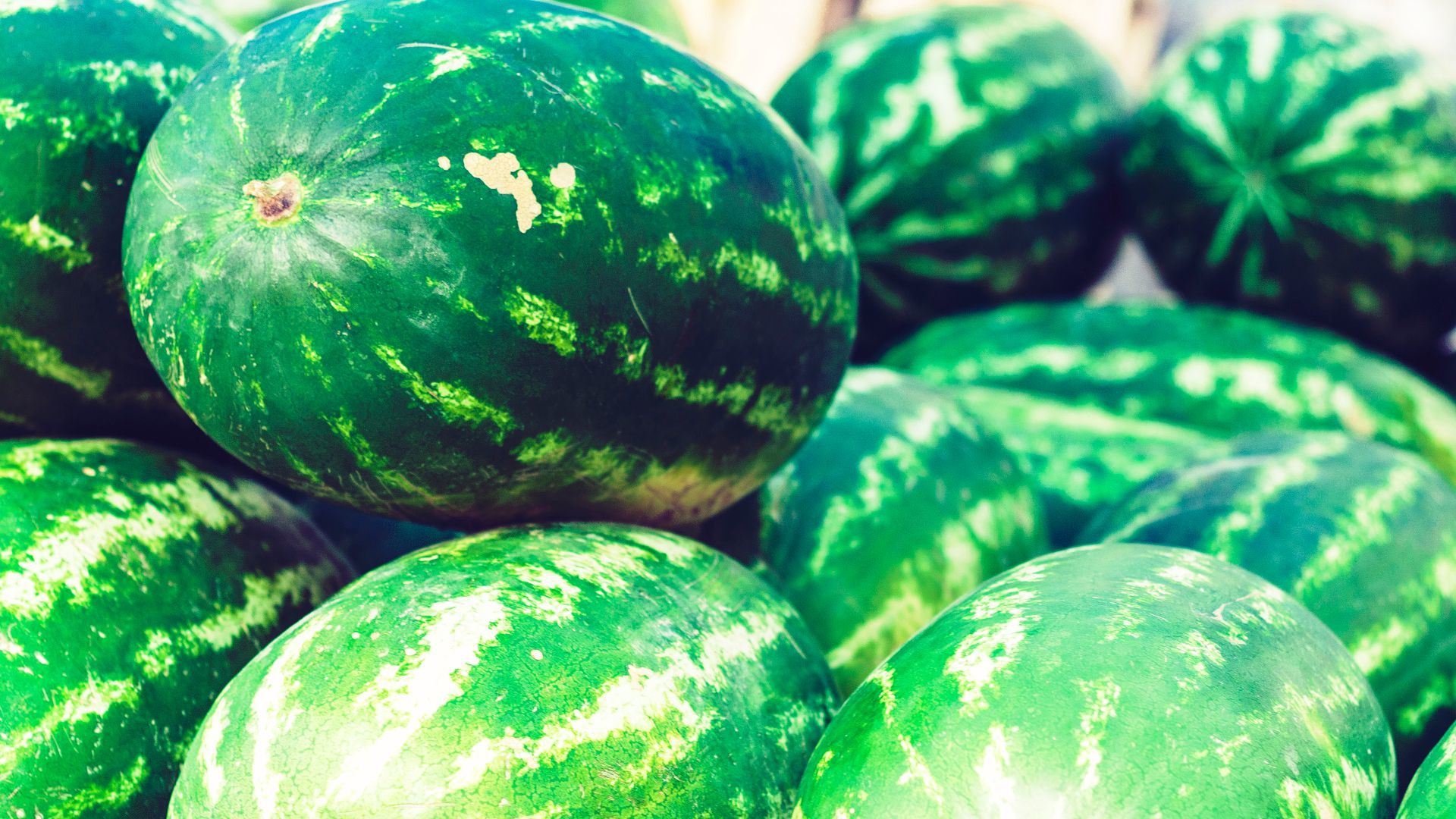Cornia Valley watermelon